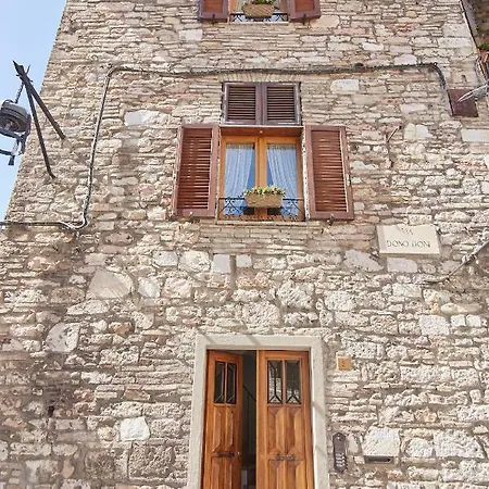 Core Mio דירה אסיסי